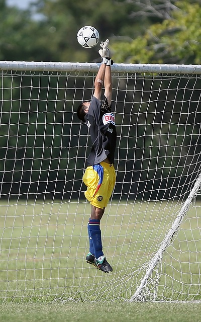 全新活力 全新活力