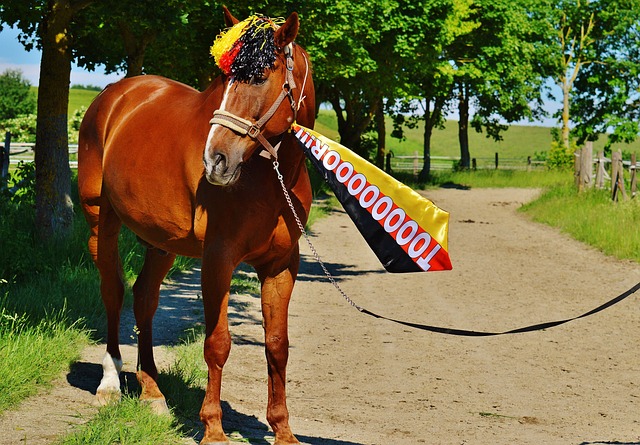 份运气与策 份运气与策